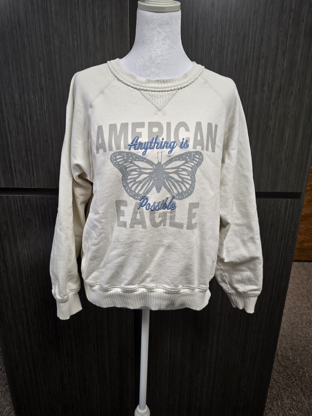 American Eagle Outfitters Cream Graphic Sweatshirt - Anything Is Possible